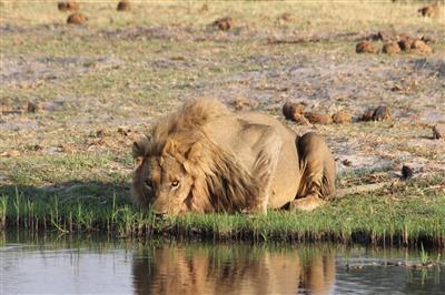 Okavango Delta, Botswana