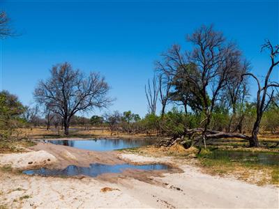 Okavango Delta, Botswana