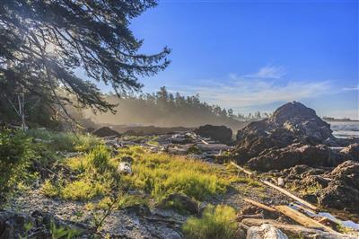 Pacific Rim National Park