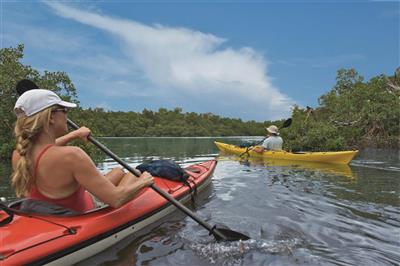 Peddelen in de mangroven bij Naples, Florida