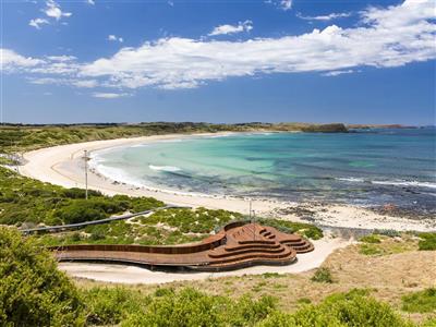 Penguin Parade, Phillip Island