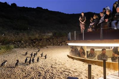 Phillip Island Nature Park