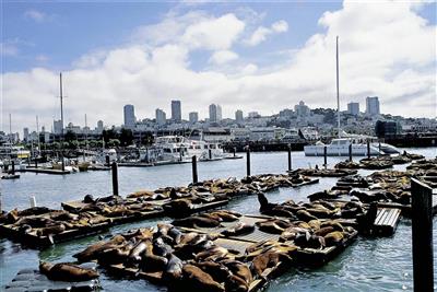 Pier 39, San Francisco