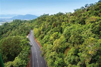 Regenwoud bij Kuranda, Atherton Tablelands