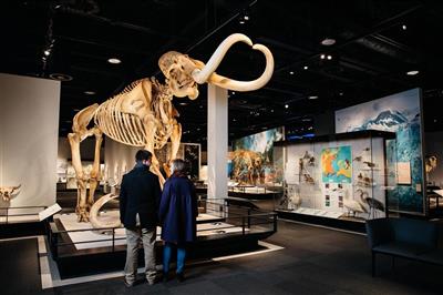 Royal Alberta Museum, Edmonton