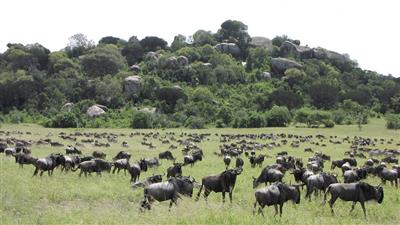 Serengeti National Park