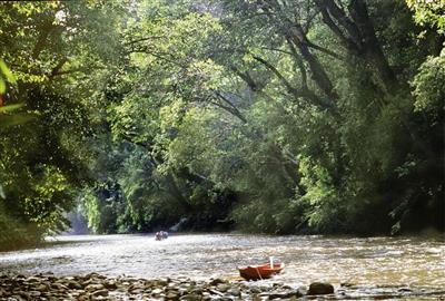 Taman Negara