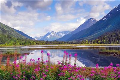 Tern Lake, Alaska