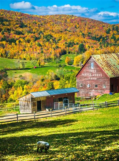 Vermont