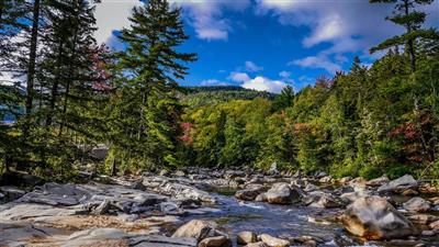 White Mountains