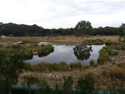 Wilsons Promontory