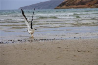 Wilsons Promontory National Park