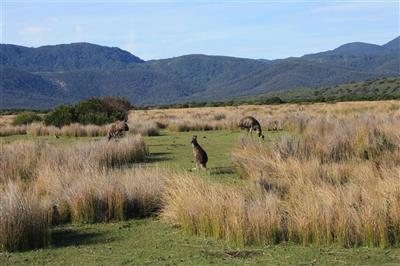 Wilsons Promontory National Park