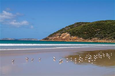 Wilsons Promontory N.P.