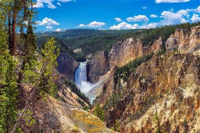 Yellowstone N.P.